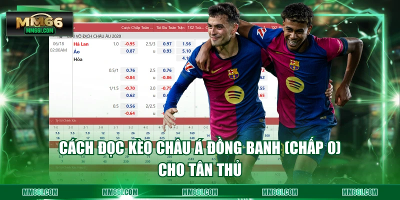 Cách đọc kèo châu Á đồng banh (chấp 0) cho tân thủ