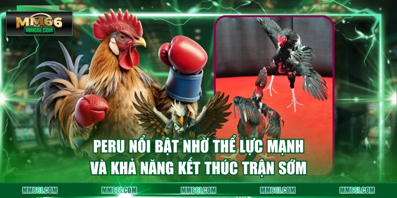 Peru nổi bật nhờ thể lực mạnh và khả năng kết thúc trận sớm